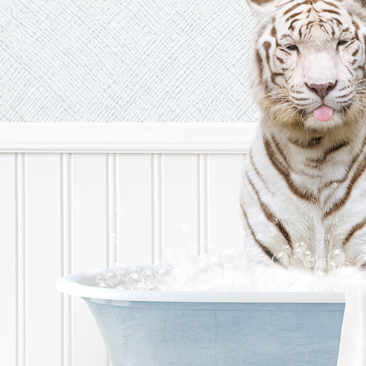 White Tiger in Cottage Blue Bath