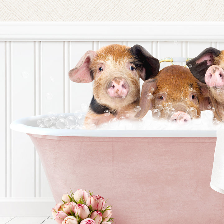 Three Little Pigs in Cottage Pink Bath