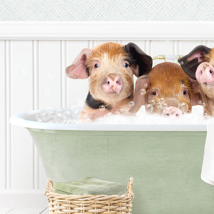 Three Little Pigs in Cottage Green Bath