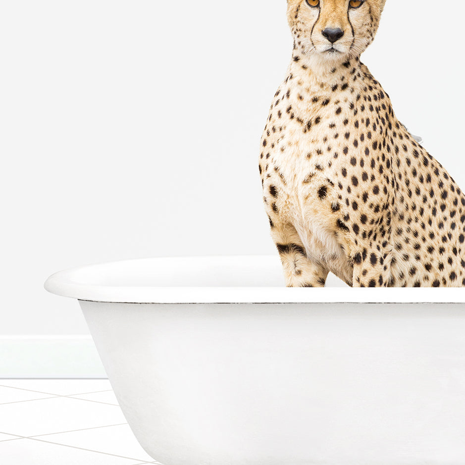 a cheetah is sitting in a bathtub