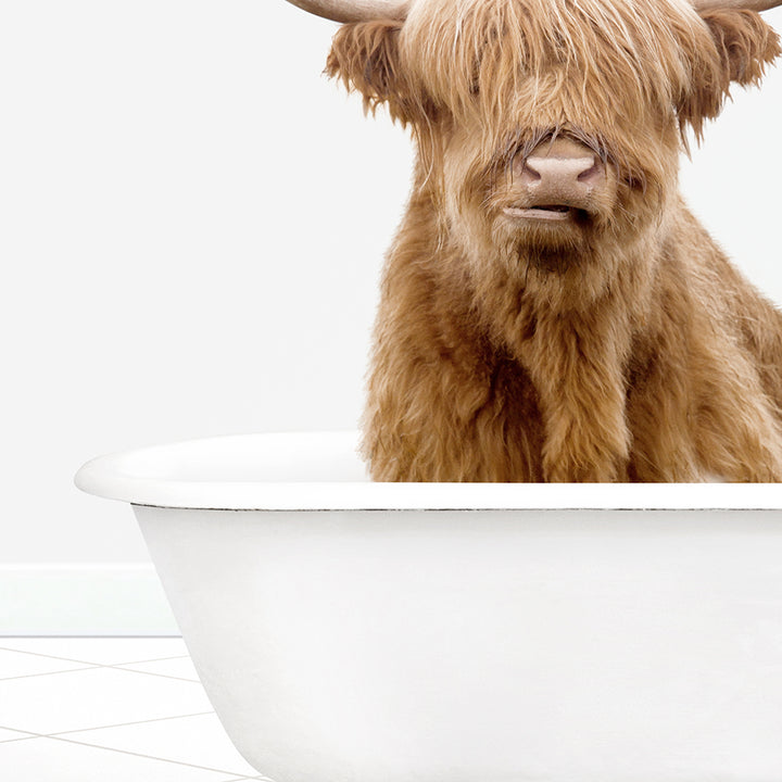 a brown cow sitting in a bath tub