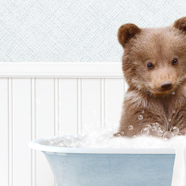 Bear Cub in Cottage Blue Bath