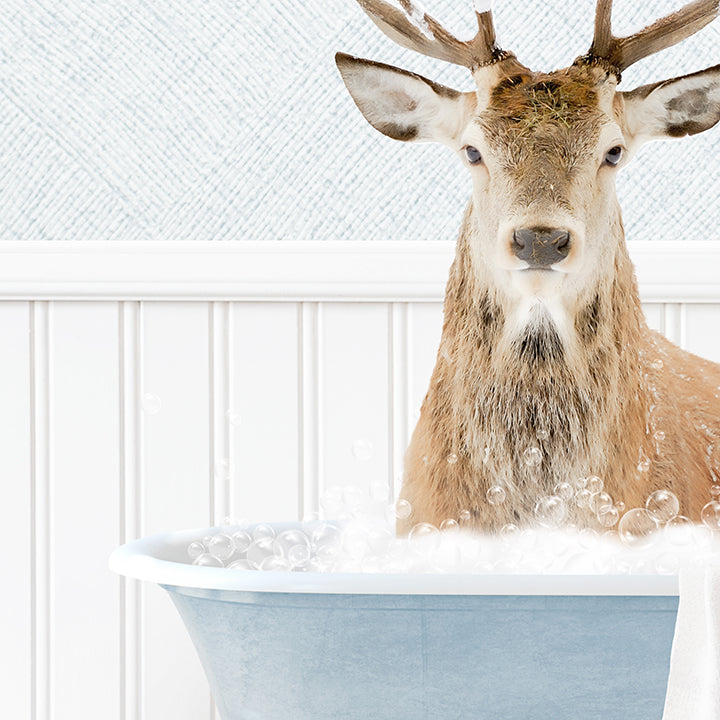 Male Deer in Cottage Blue Bath