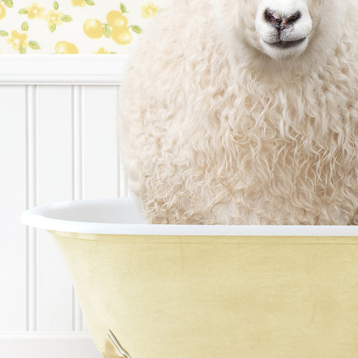 a sheep sitting in a bathtub with a yellow rim