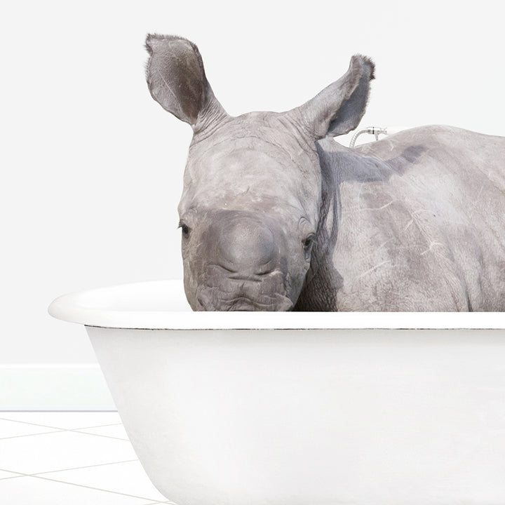 a rhino laying down in a bath tub