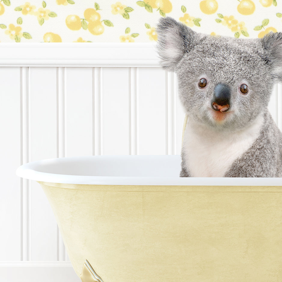 a small koala is sitting in a bathtub