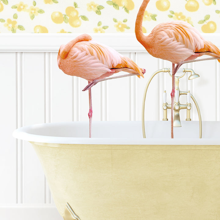 two flamingos standing on legs in a bathtub