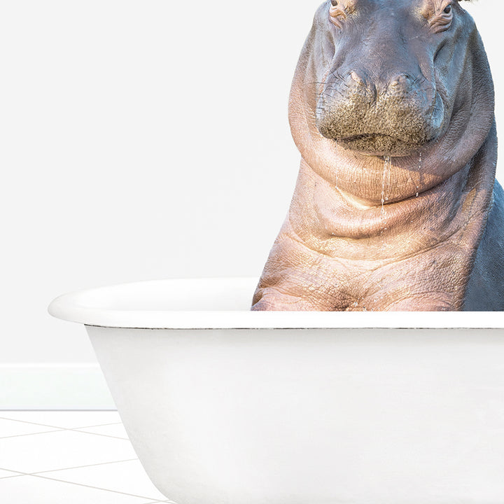 a hippopotamus sitting in a bathtub looking at the camera