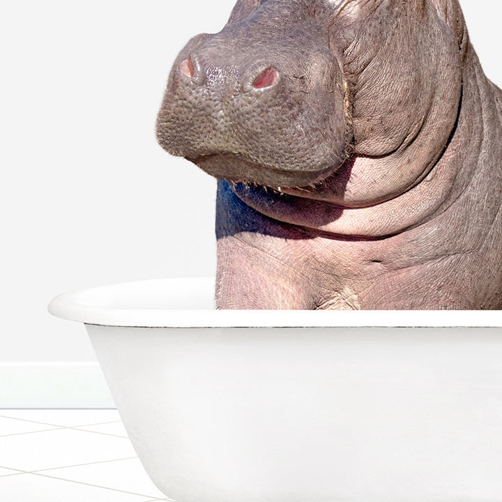 a hippopotamus is sitting in a bathtub