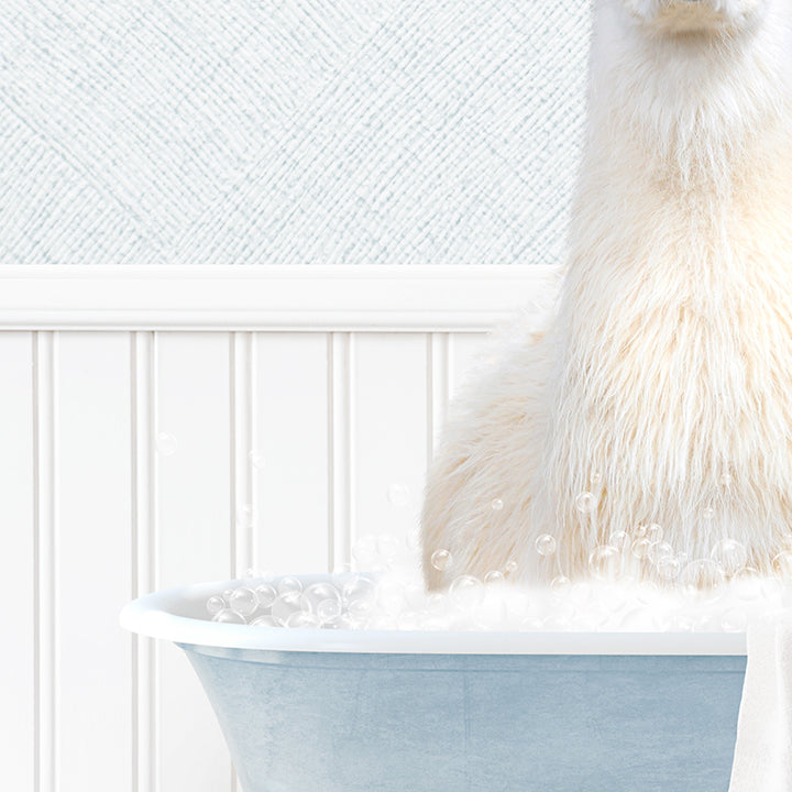 Llama in Cottage Blue Bath