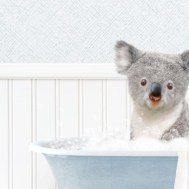 Koala Bear in Cottage Blue Bath