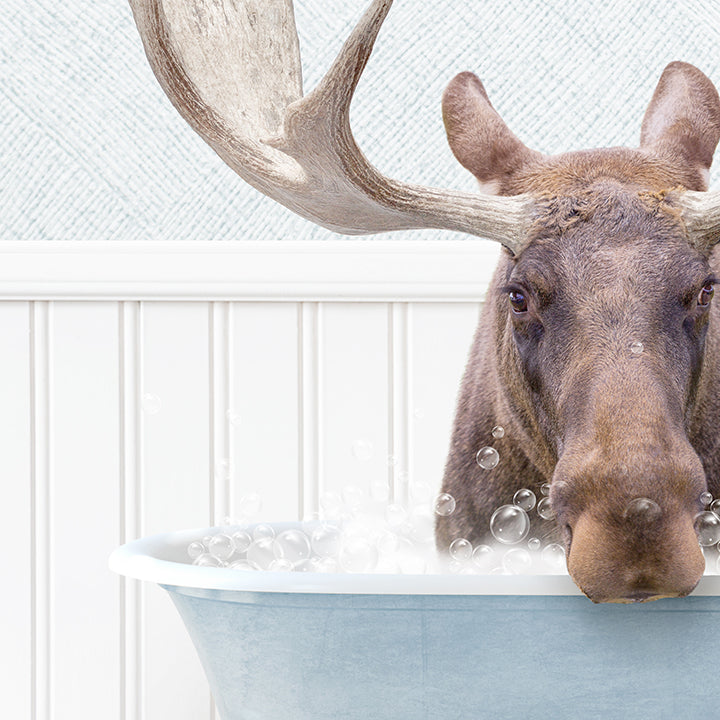 Moose in Cottage Blue Bath