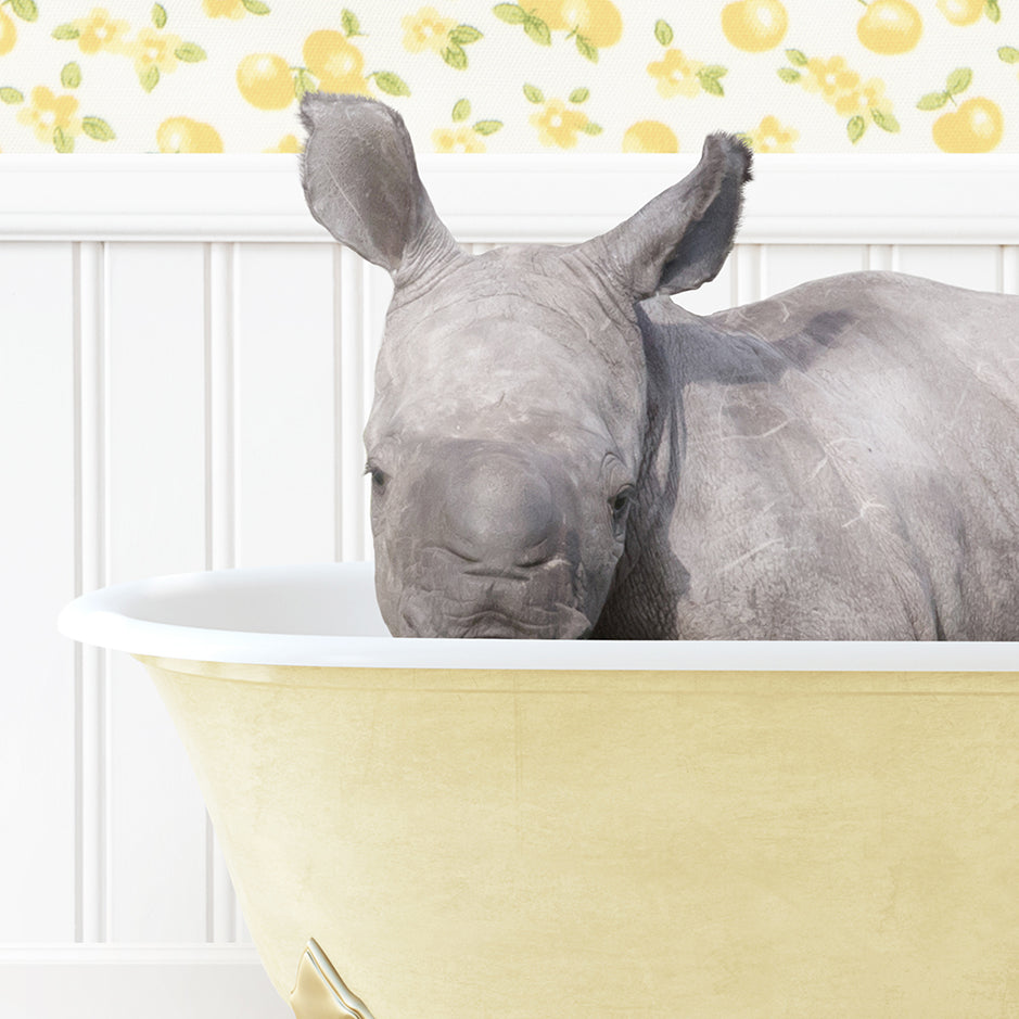 a rhinoceros laying in a bathtub with its head resting on the edge