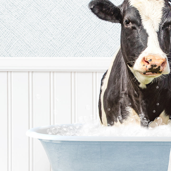 Black and White Cow in Cottage Blue Bath