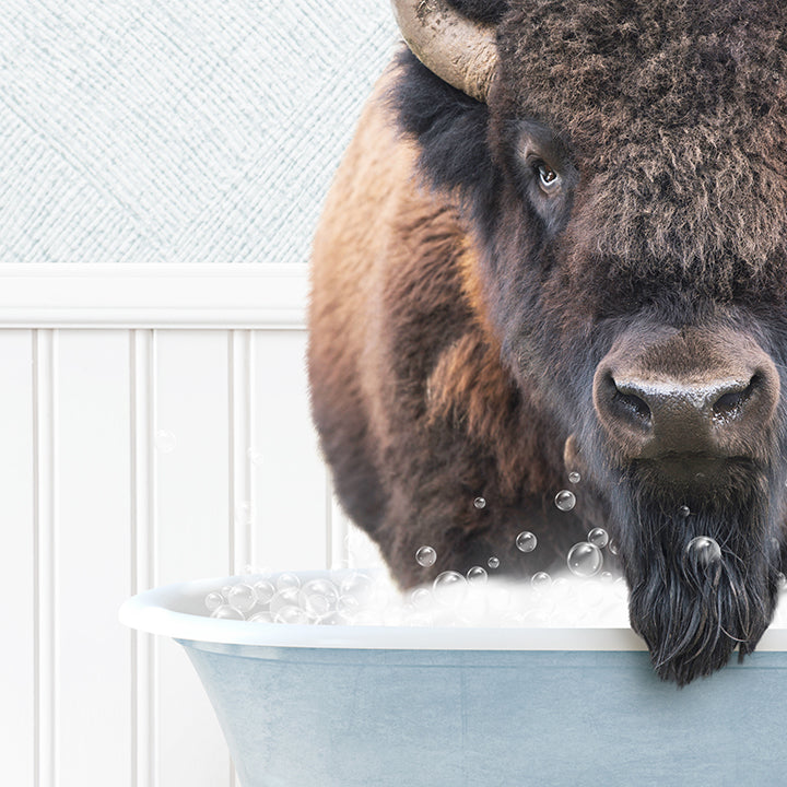 Bison in Cottage Blue Bath