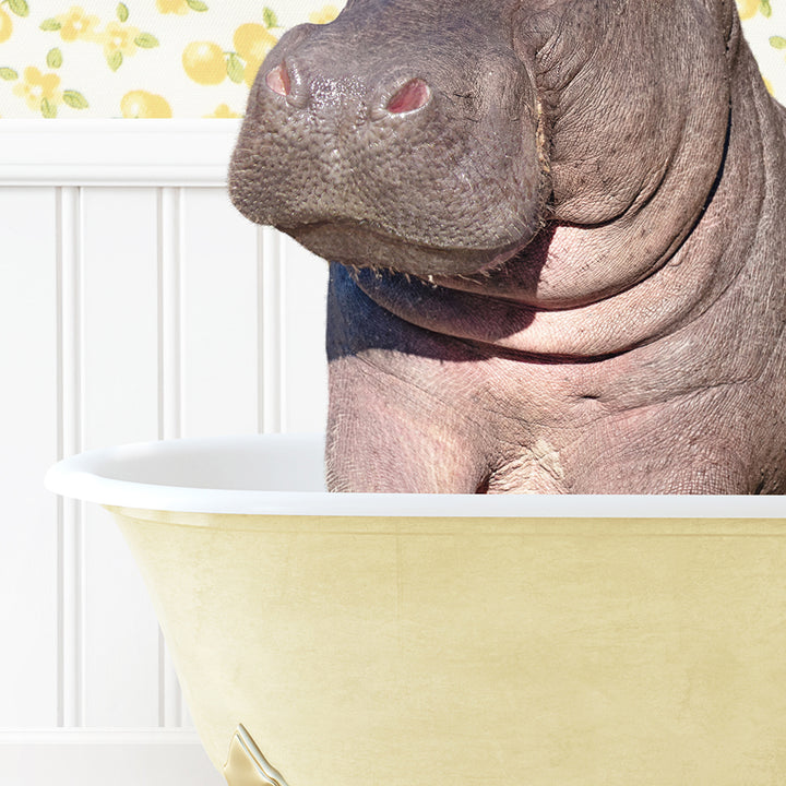 a hippopotamus sitting in a bathtub in a bathroom