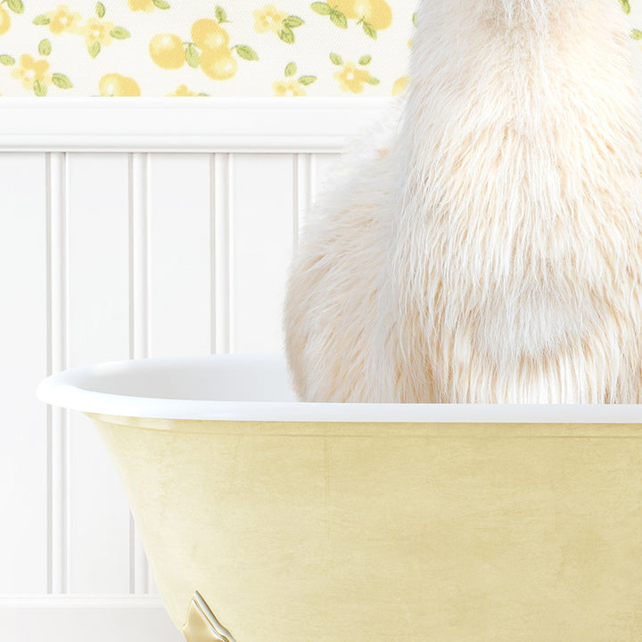 a white cat sitting in a bathtub with a yellow wallpaper