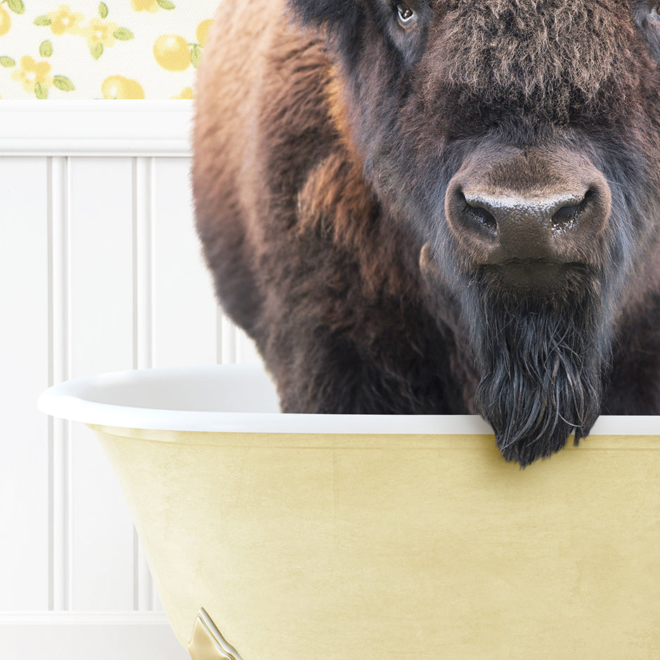 a close up of a bison in a bathtub