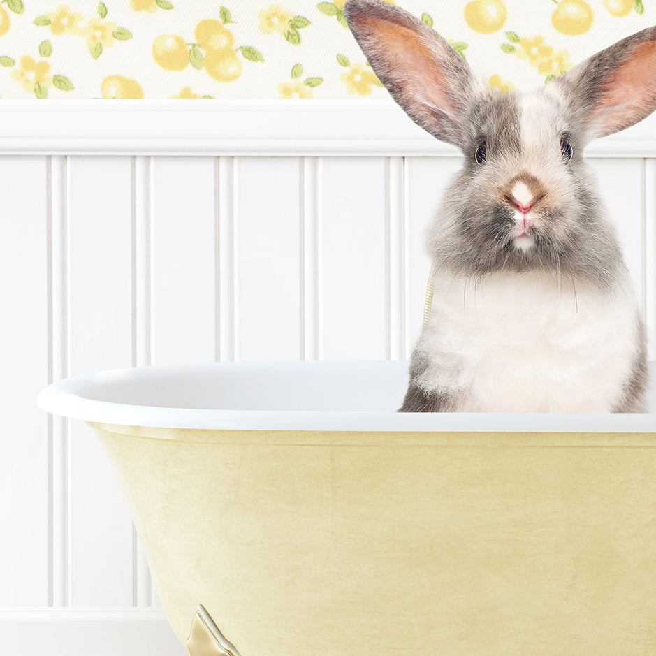 a rabbit sitting in a bathtub with its head sticking out