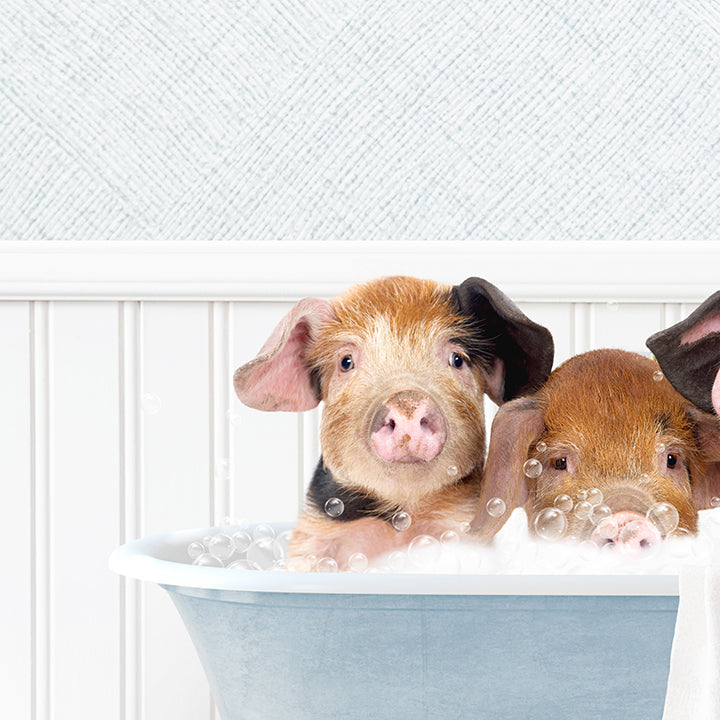 Three Little Pigs in Cottage Blue Bath