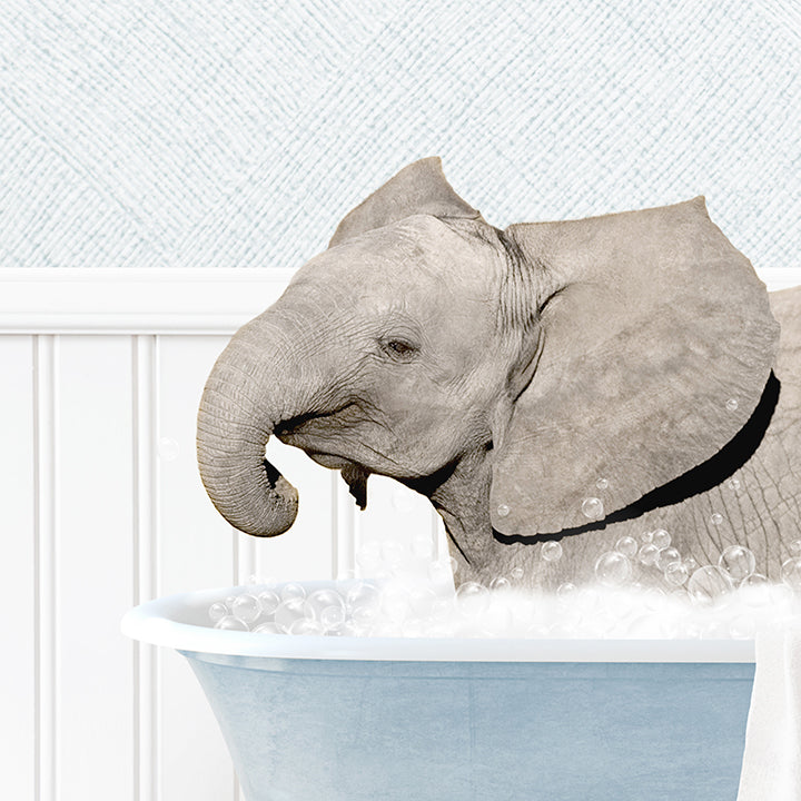 Baby Elephant No2 in Cottage Blue Bath