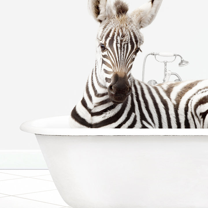 a zebra is laying down in a bathtub