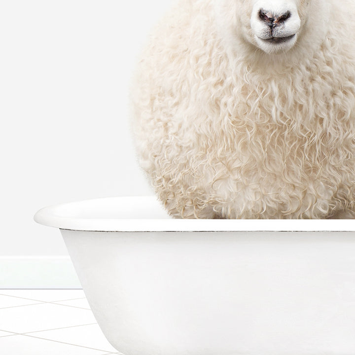 a close up of a sheep in a bathtub