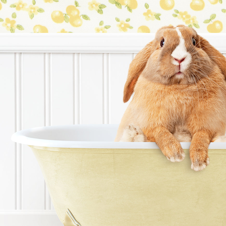 a rabbit sitting in a bathtub with its head sticking out