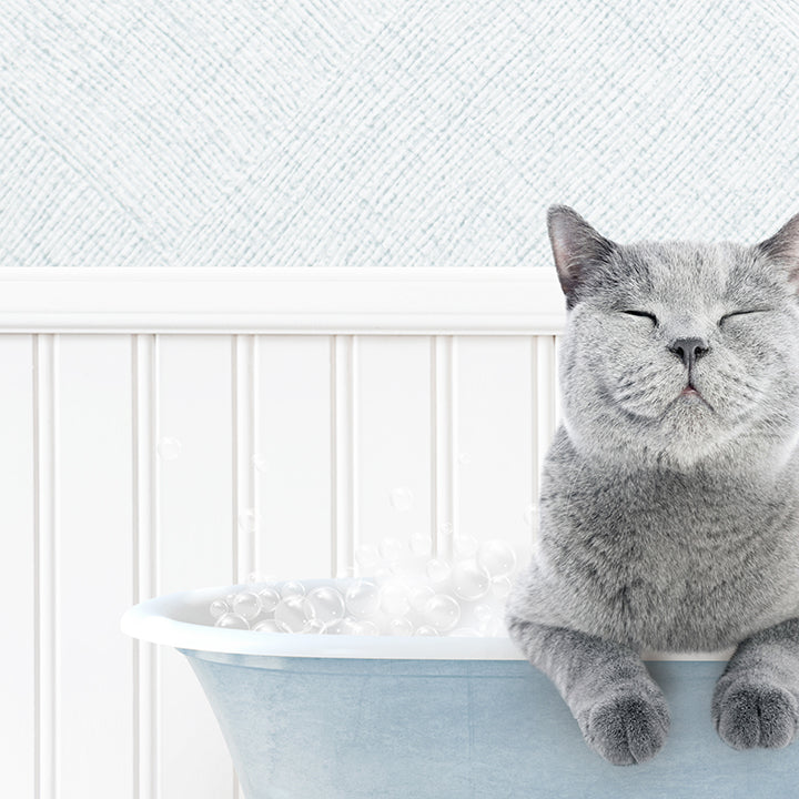 Cat in Cottage Blue Bath