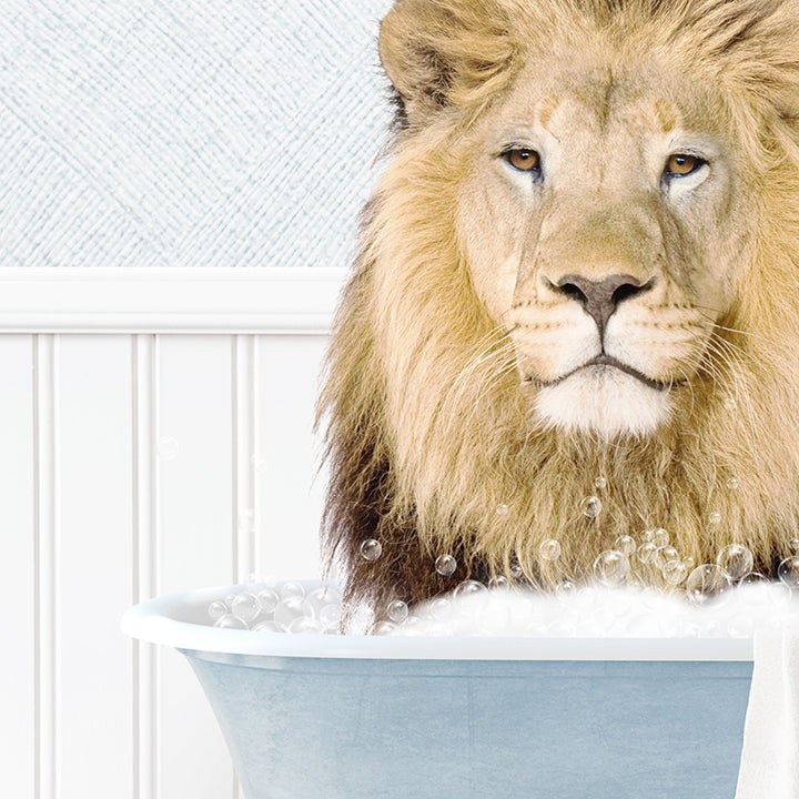 Lion in Cottage Blue Bath