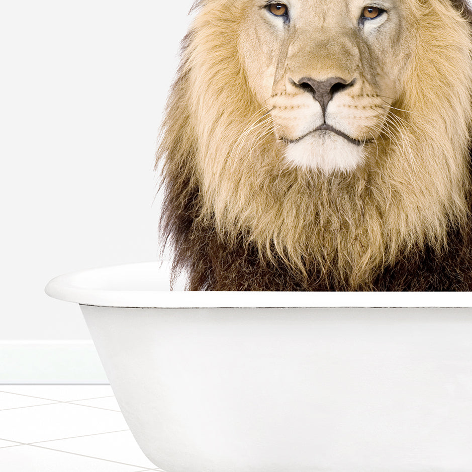 a lion sitting in a bathtub with his head resting on the edge