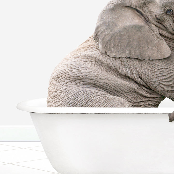 a baby elephant is sitting in a bathtub