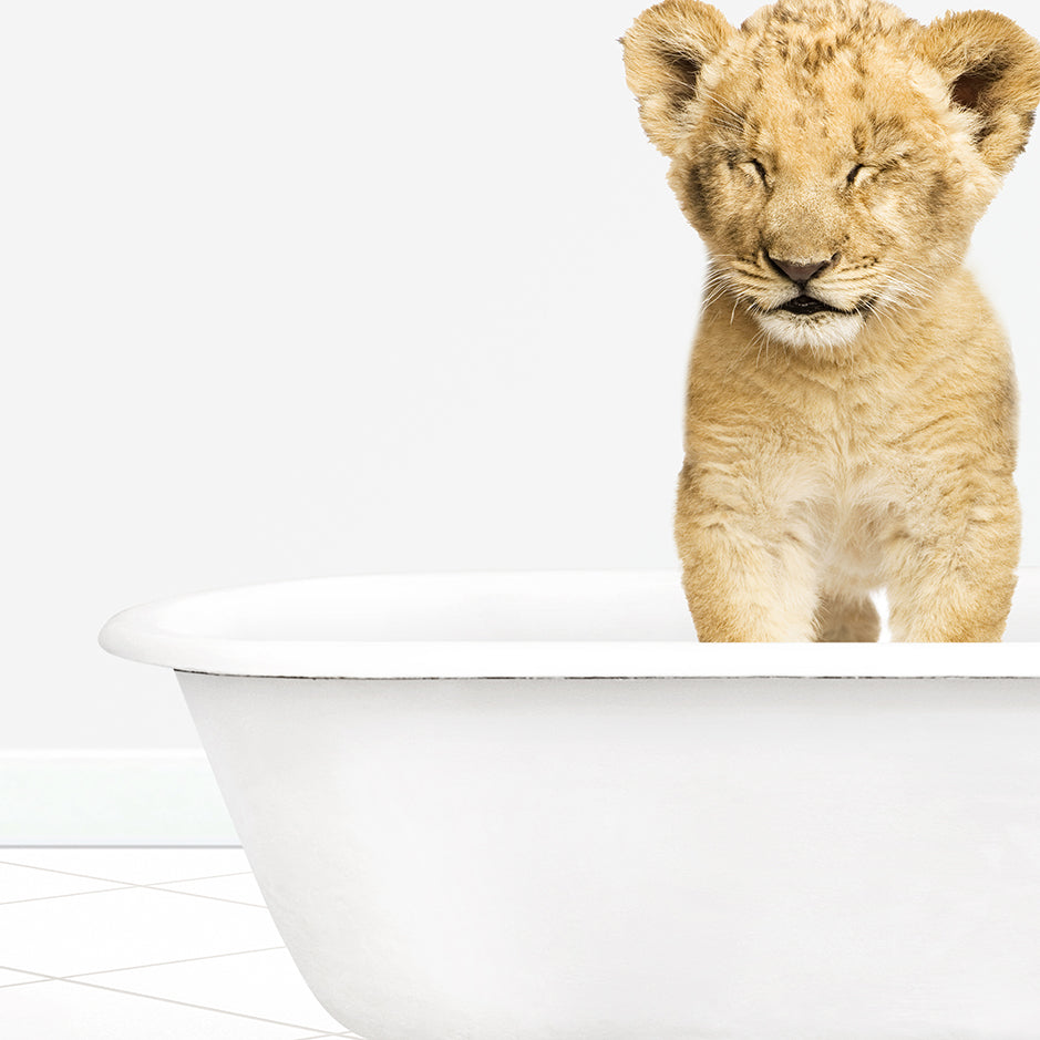 a small lion cub sitting in a bathtub