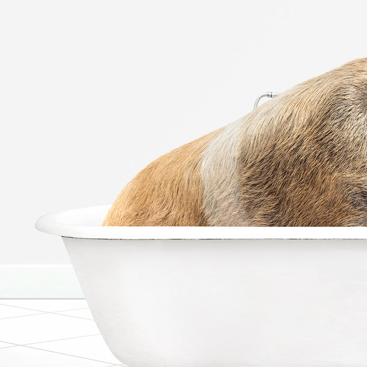 a dog is taking a bath in a bathtub