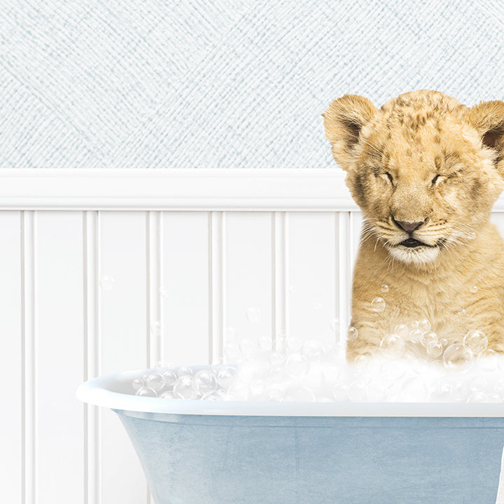 Lion Cub in Cottage Blue Bath