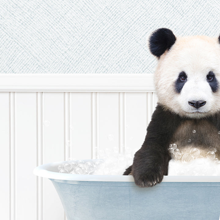 Baby Panda Wave in Cottage Blue Bath