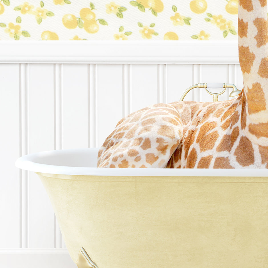 a giraffe laying down in a bath tub