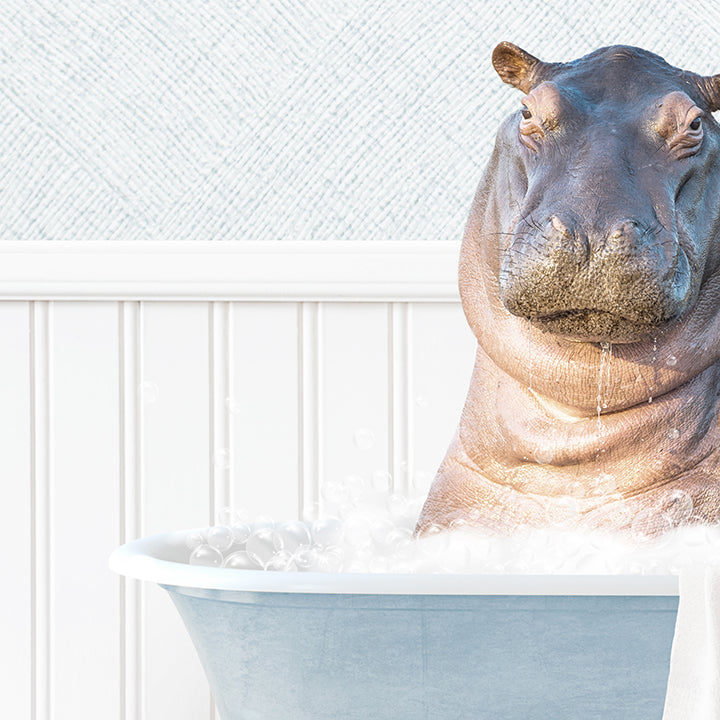 Baby Hippo in Cottage Blue Bath