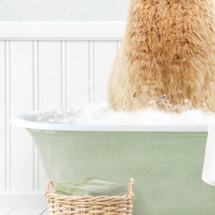 Alpaca in Cottage Green Bath