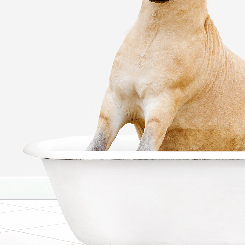 a dog sitting in a bathtub with its paws on the edge