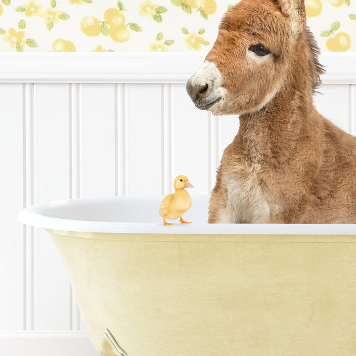 a baby donkey sitting in a bathtub next to a rubber duck