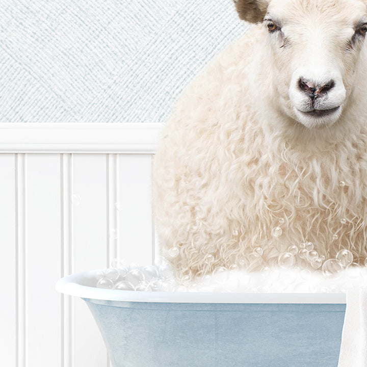 Sheep in Cottage Blue Bath