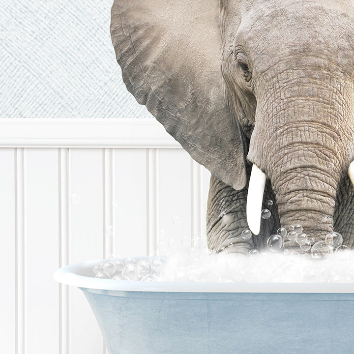 Elephant Front in Cottage Blue Bath