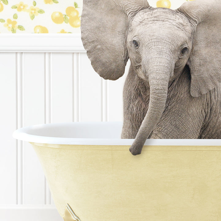 a baby elephant standing inside of a bath tub