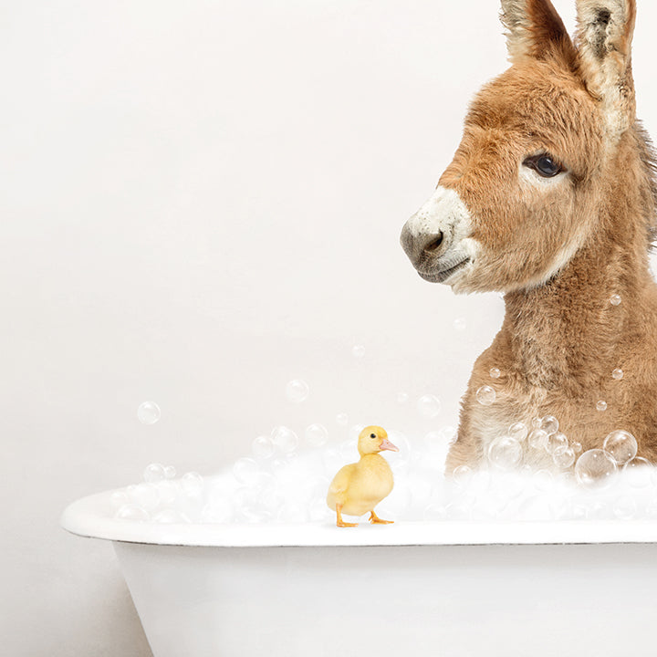 Baby Donkey and Duckling in Rustic Bath