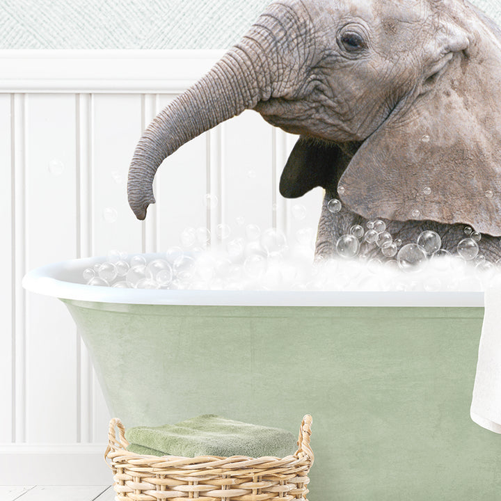 Baby Elephant No1 in Cottage Green Bath