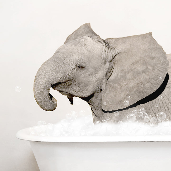 Baby Elephant No2 in Rustic Bath