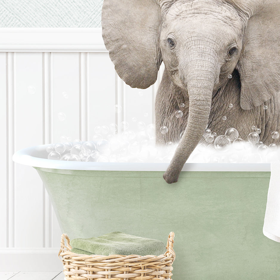 Baby Elephant No4 in Cottage Green Bath