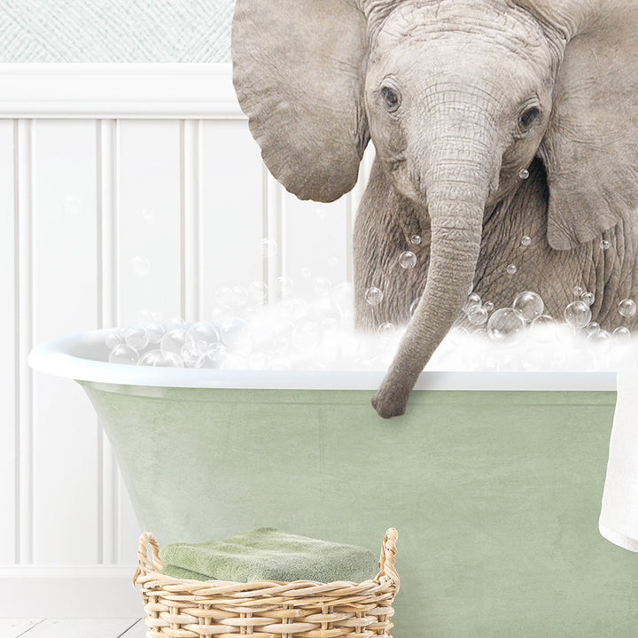 Baby Elephant No4 in Cottage Green Bath