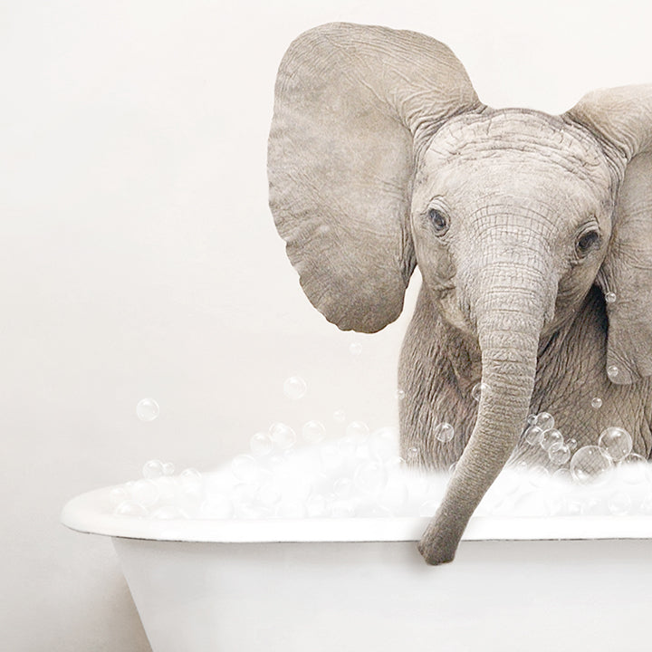 Baby Elephant No4 in Rustic Bath